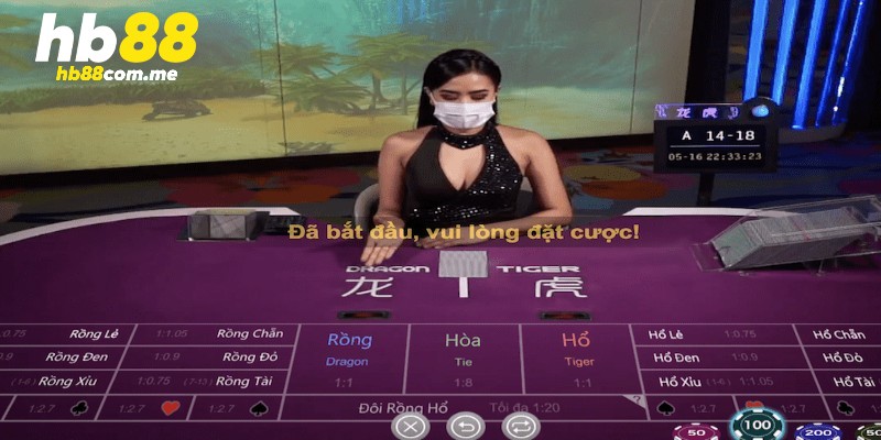 Hướng dẫn 5 bước để chơi game bài rồng hổ